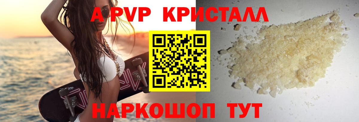 A-PVP СК КРИС Новоалтайск