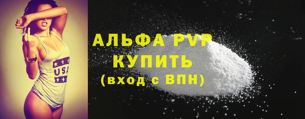 стаф Михайловск