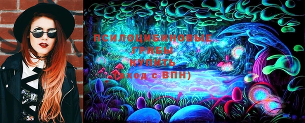 стаф Михайловск