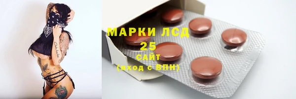 стаф Михайловск