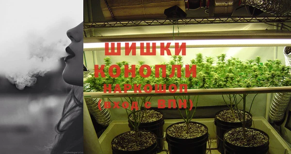 стафф Медногорск