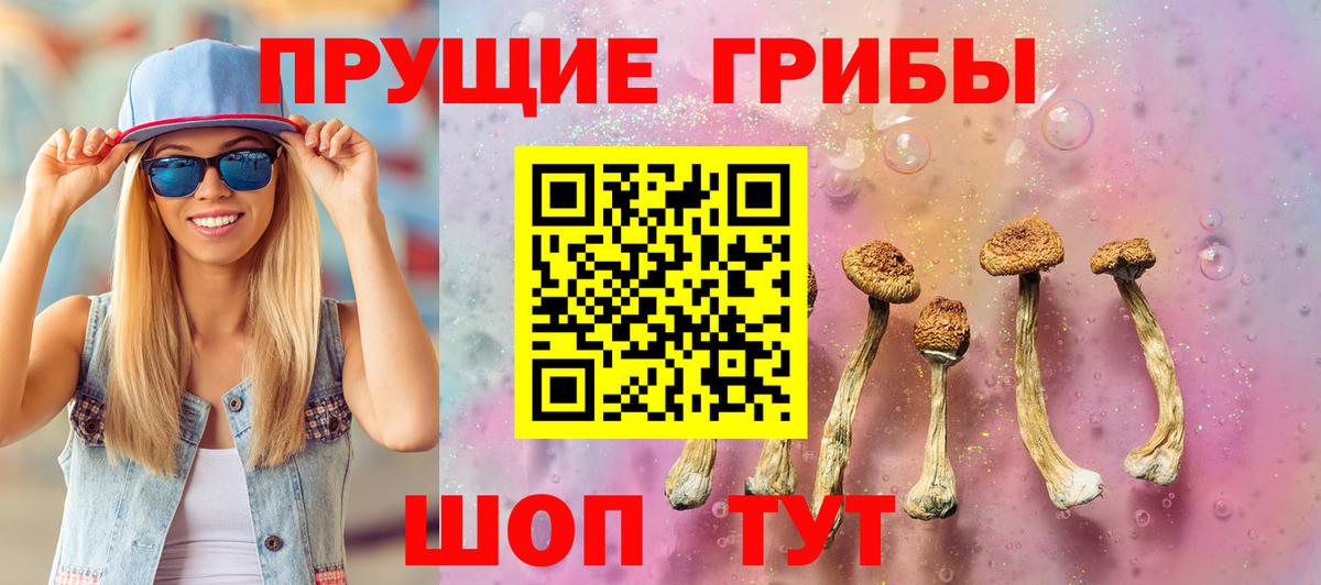 Псилоцибиновые грибы мухоморы Новоалтайск