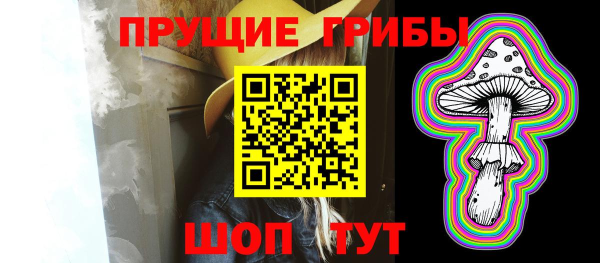 где найти   Вход с VPN  Новоалтайск  Псилоцибиновые грибы Psilocybine cubensis 
